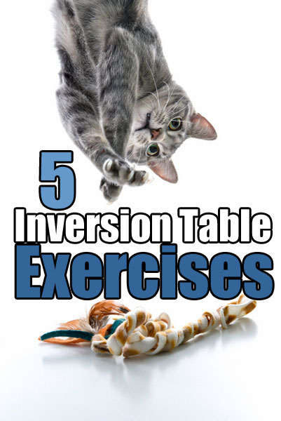 5 Inversion Table Exercises with Hanging Cat